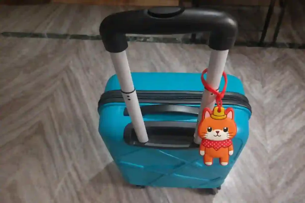 Best Trolley Bags Under 2000 In India