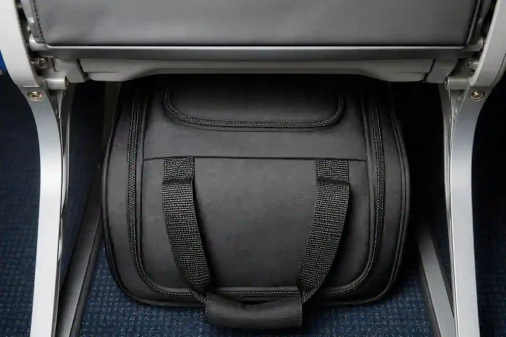 Small Amazon Basics rolling personal item bag designed to fit under airplane seats
